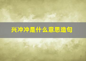 兴冲冲是什么意思造句