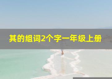 其的组词2个字一年级上册