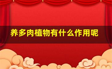 养多肉植物有什么作用呢