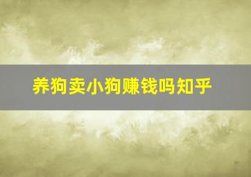 养狗卖小狗赚钱吗知乎