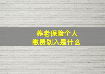 养老保险个人缴费划入是什么