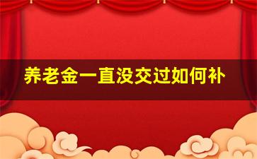 养老金一直没交过如何补