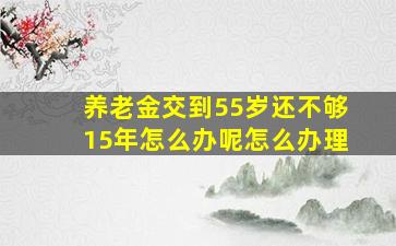 养老金交到55岁还不够15年怎么办呢怎么办理