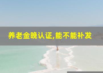 养老金晚认证,能不能补发