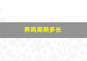 养鸡周期多长