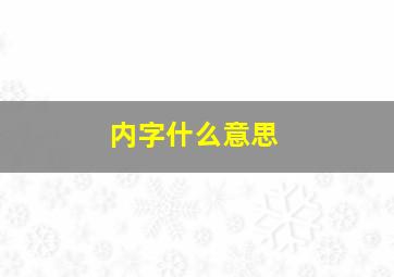 内字什么意思