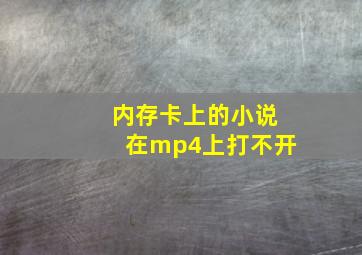 内存卡上的小说在mp4上打不开