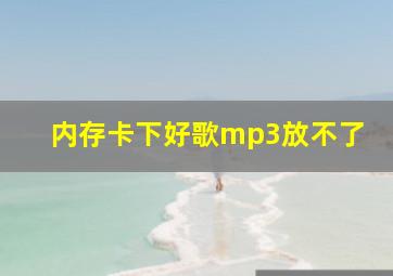 内存卡下好歌mp3放不了