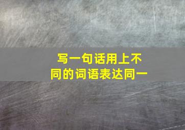 写一句话用上不同的词语表达同一