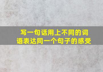 写一句话用上不同的词语表达同一个句子的感受