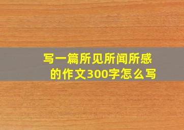 写一篇所见所闻所感的作文300字怎么写