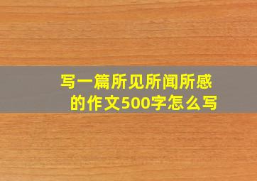 写一篇所见所闻所感的作文500字怎么写