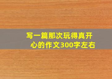 写一篇那次玩得真开心的作文300字左右