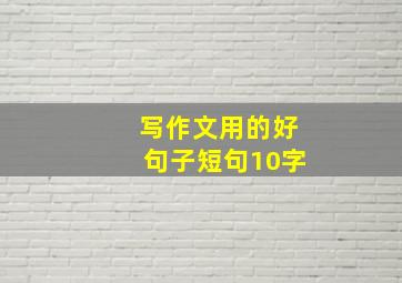 写作文用的好句子短句10字