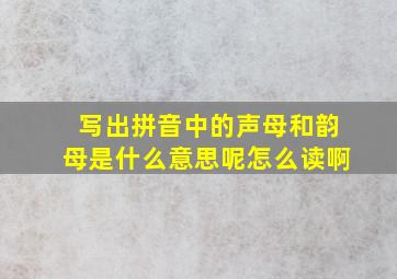 写出拼音中的声母和韵母是什么意思呢怎么读啊