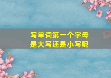 写单词第一个字母是大写还是小写呢