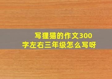 写狸猫的作文300字左右三年级怎么写呀