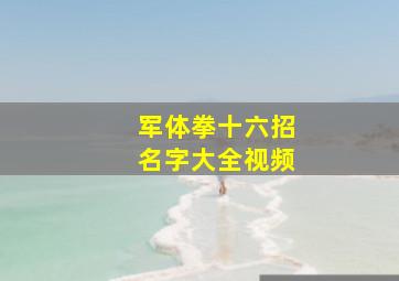 军体拳十六招名字大全视频