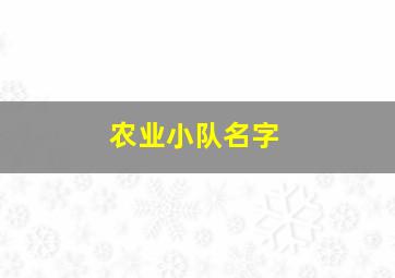 农业小队名字