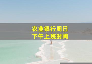 农业银行周日下午上班时间