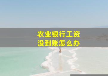 农业银行工资没到账怎么办