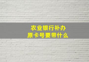 农业银行补办原卡号要带什么