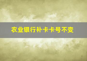 农业银行补卡卡号不变