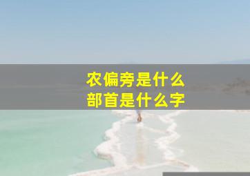 农偏旁是什么部首是什么字