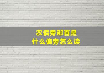 农偏旁部首是什么偏旁怎么读