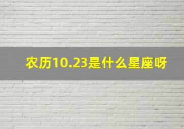 农历10.23是什么星座呀