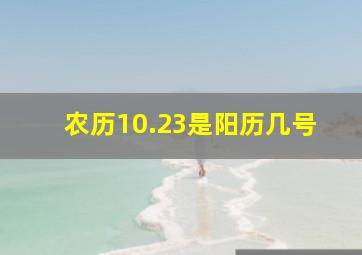 农历10.23是阳历几号