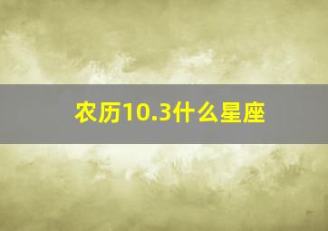 农历10.3什么星座