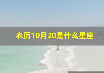 农历10月20是什么星座