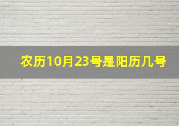 农历10月23号是阳历几号