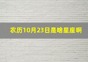 农历10月23日是啥星座啊