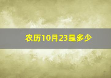 农历10月23是多少