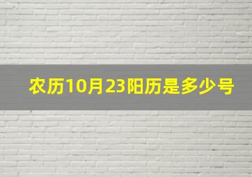 农历10月23阳历是多少号