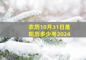 农历10月31日是阳历多少号2024