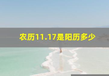 农历11.17是阳历多少