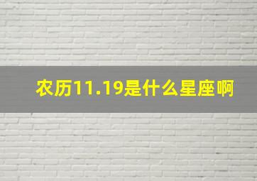 农历11.19是什么星座啊