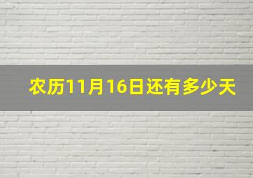 农历11月16日还有多少天