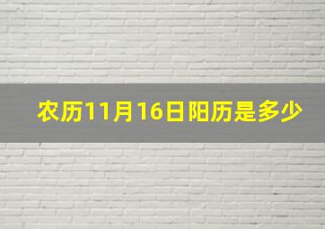 农历11月16日阳历是多少