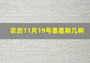 农历11月19号是星期几啊