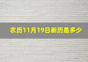 农历11月19日新历是多少