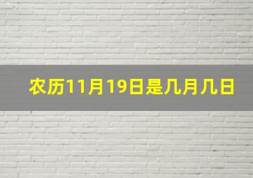 农历11月19日是几月几日