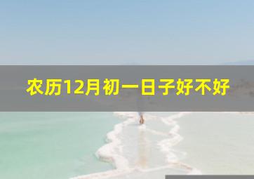 农历12月初一日子好不好