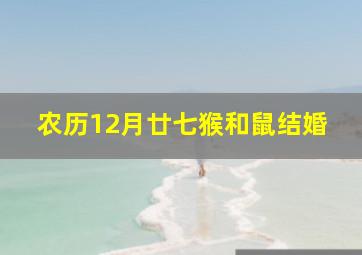 农历12月廿七猴和鼠结婚