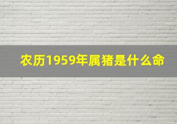 农历1959年属猪是什么命