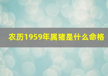 农历1959年属猪是什么命格