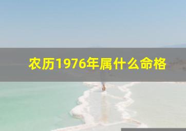 农历1976年属什么命格